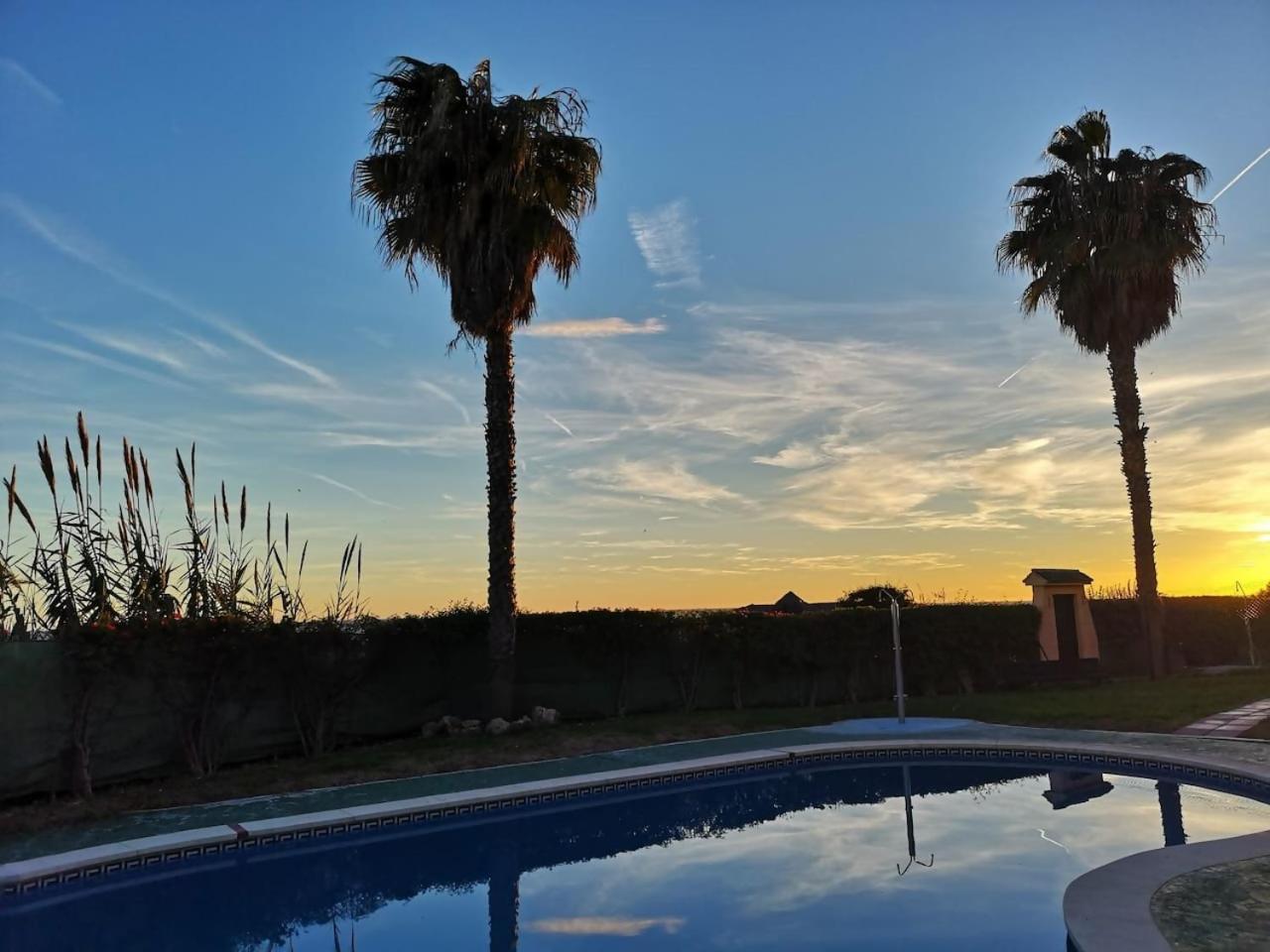 Espectacular Residencial En 1A Linea Con Piscina Daire Benajarafe Dış mekan fotoğraf